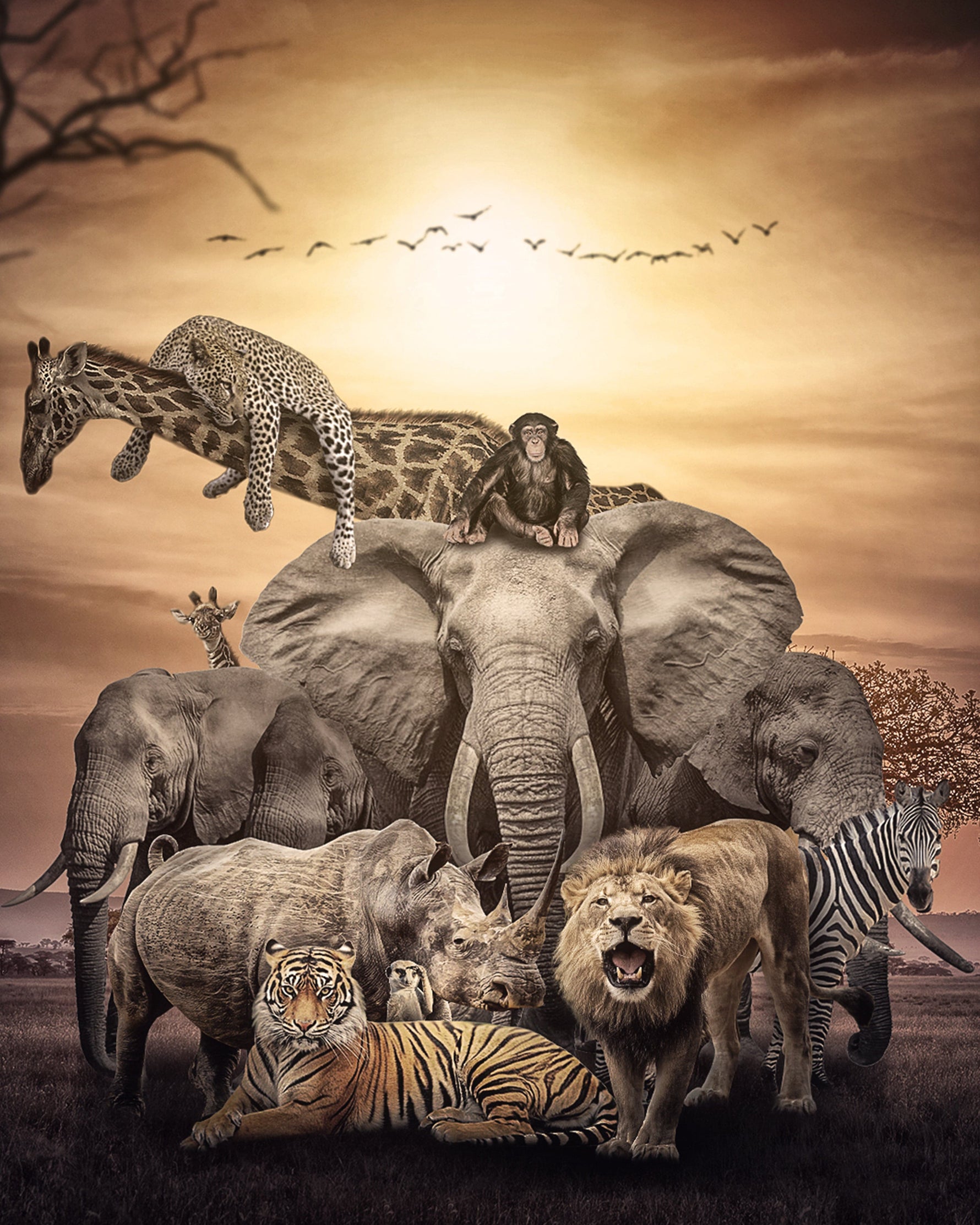 Wilde dieren Diamond Painting Planet