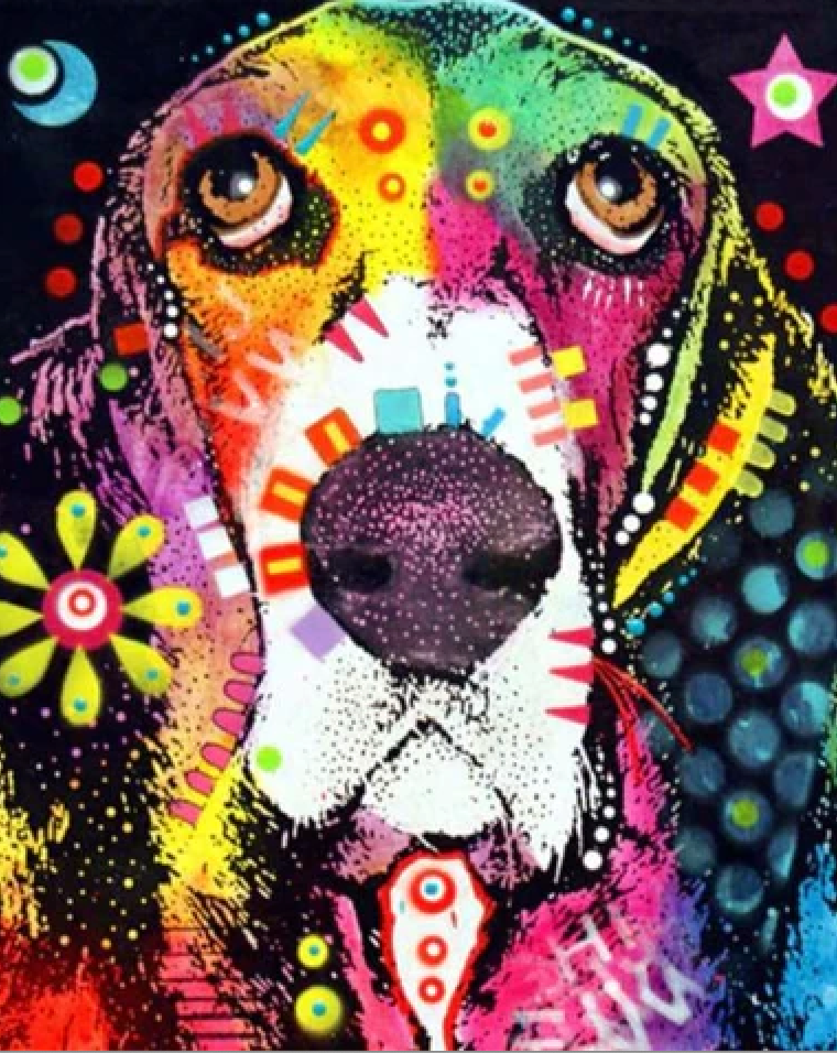 60's Hippie Hond 40x50cm (Morgen in huis) Diamond Painting Planet