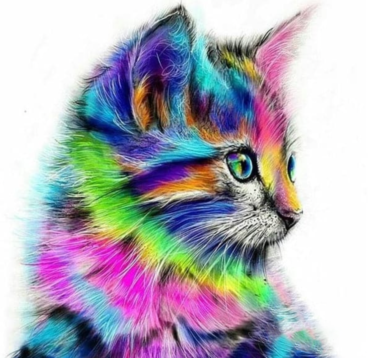 Kleurrijke kitten Diamond Painting Planet