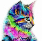 Kleurrijke kitten Diamond Painting Planet