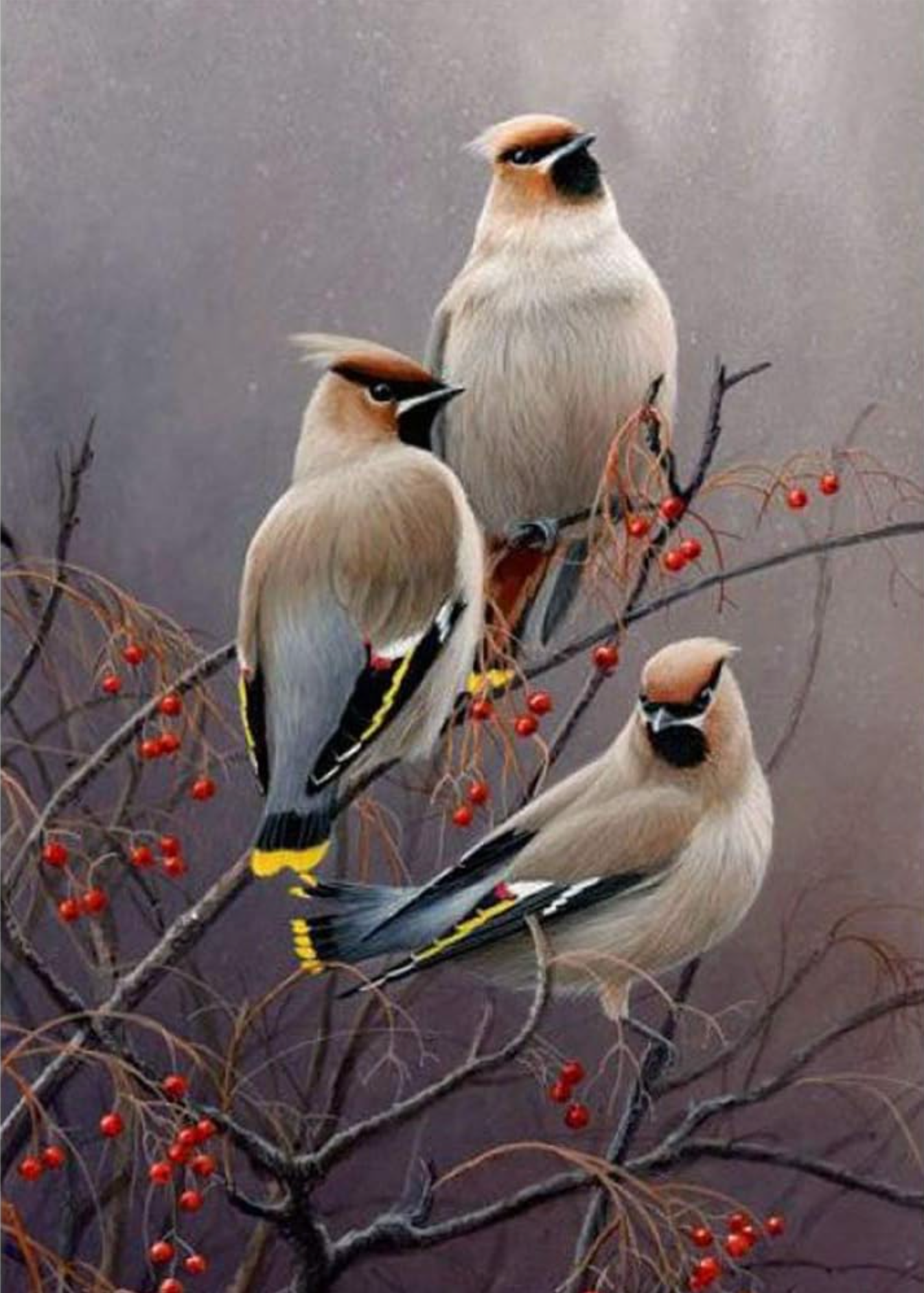 Drie vogels Diamond Painting Planet