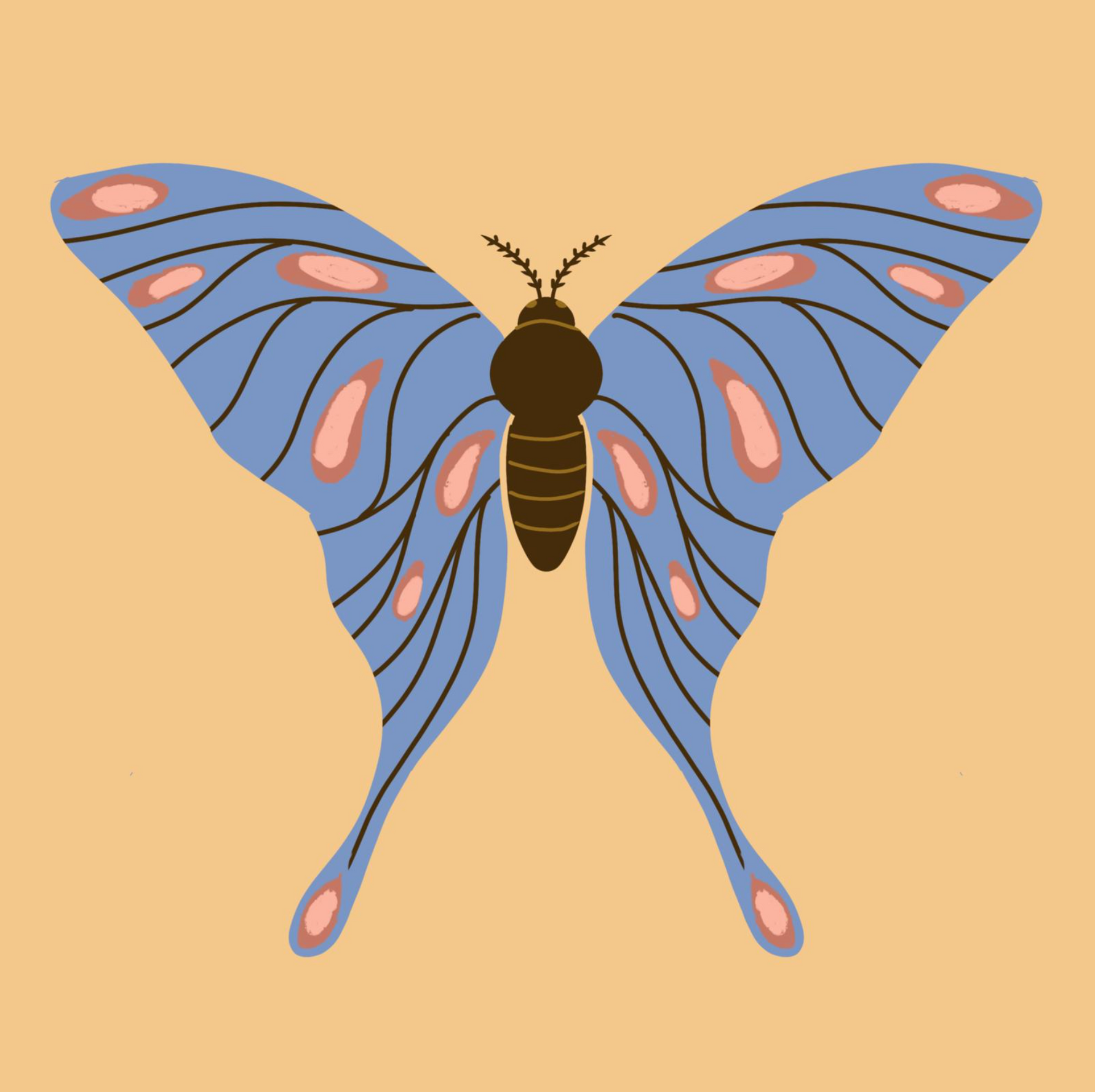 Proefpakket - Vlinder Diamond Painting Planet