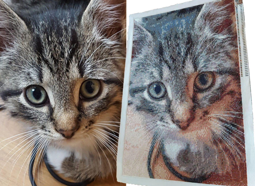 Eigen Foto Diamond Painting Planet