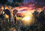 Olifant en zonsondergang Diamond Painting Planet