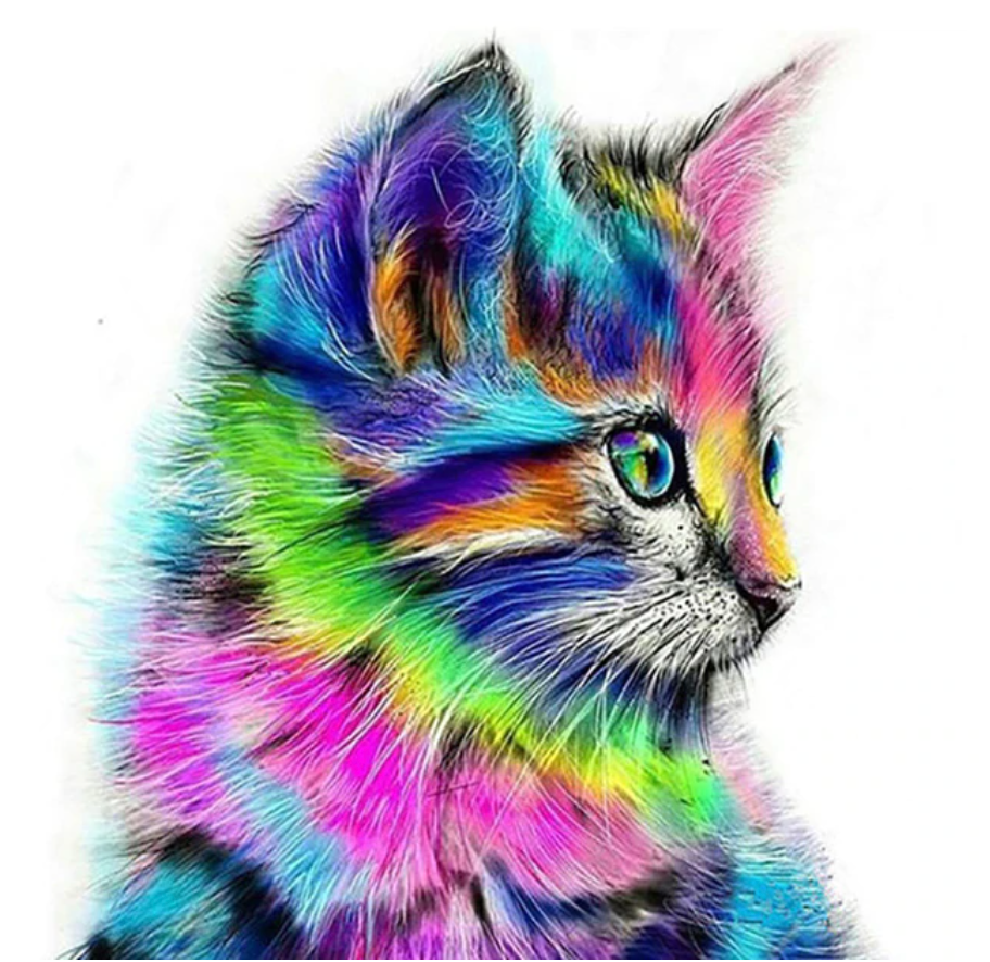 Proefpakket - Kleurrijke poes Diamond Painting Planet