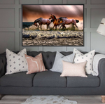 Paarden op het strand Diamond Painting Planet