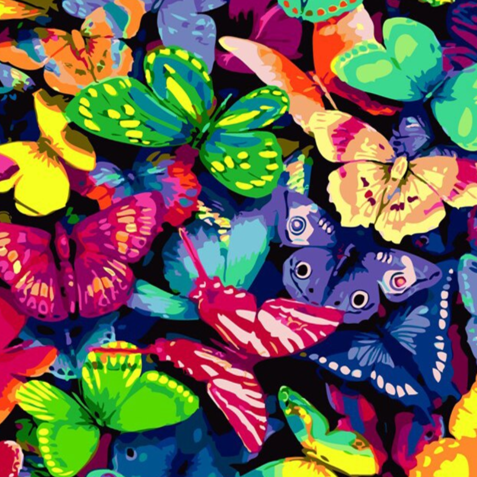 Kleurrijke vlinders Diamond Painting Planet