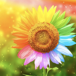 Proefpakket Bundel Diamond Painting Planet