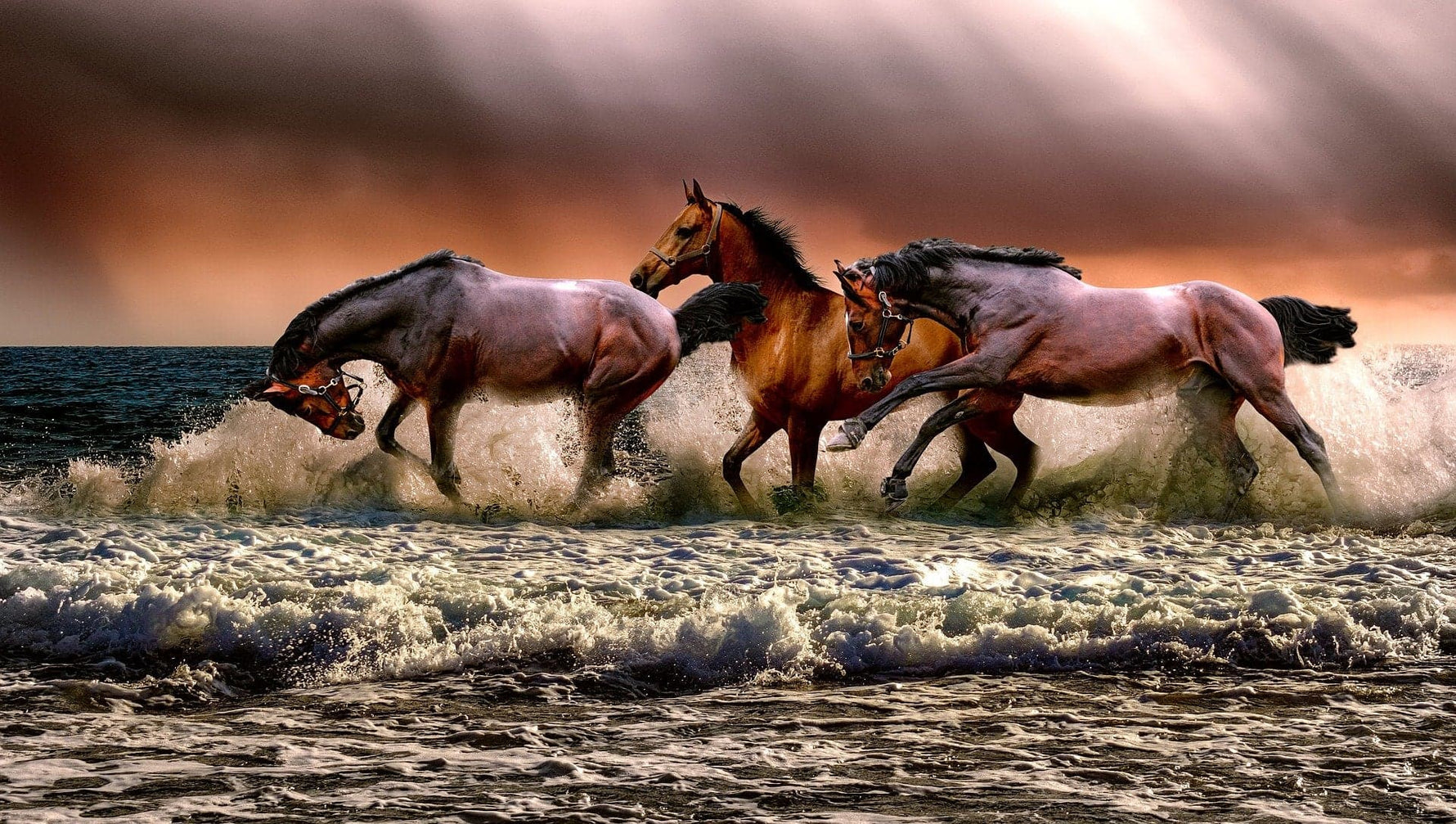 Paarden op het strand Diamond Painting Planet