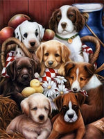 Verschillende honden Diamond Painting Planet